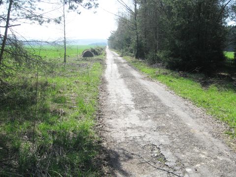 Foto 66